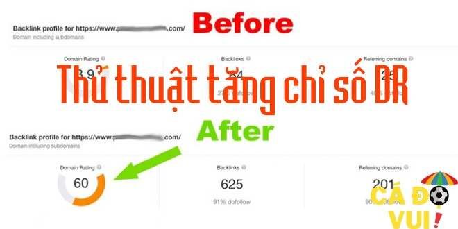 tang chi so dr website