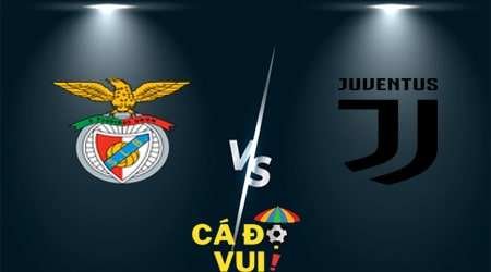 soi kèo benfica vs juventus vong 5 cup c1 26-10-2022 cadovui