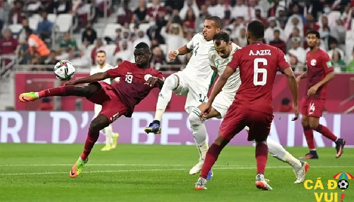 soi kèo tài xỉu Qatar vs Ecuador 20-11