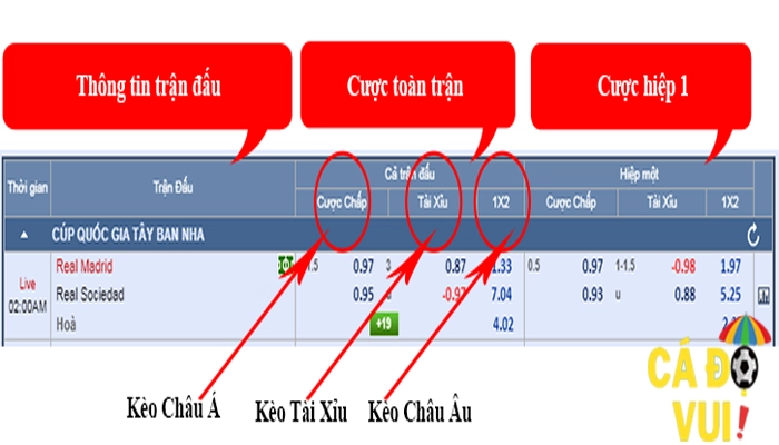 Cách xem kèo bóng đá trên mạng chi tiết nhất 2