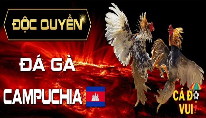 Đá gà qua mạng 4