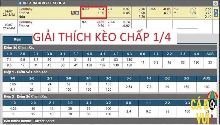 Kèo chấp 1/4 trái là sao 1