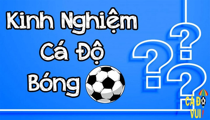 Kinh nghiệm cá độ bóng đá ăn tiền thật từ cao thủ 6