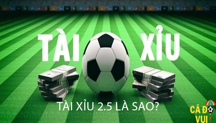 Tài xỉu 2.5 là sao 1