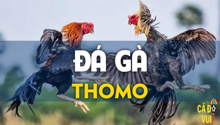 Da ga thomo 15