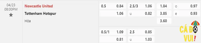 Soi kèo Newcastle vs Tottenham 23-04-2023 1